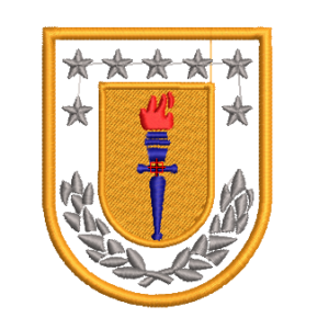 Universidad de Concepción (CON APLICACIÓN/APLIQUE)